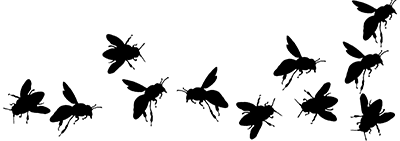        17-alle-bijen-op-een-rijtje-web