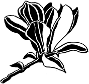 3-tulpenbomen-web