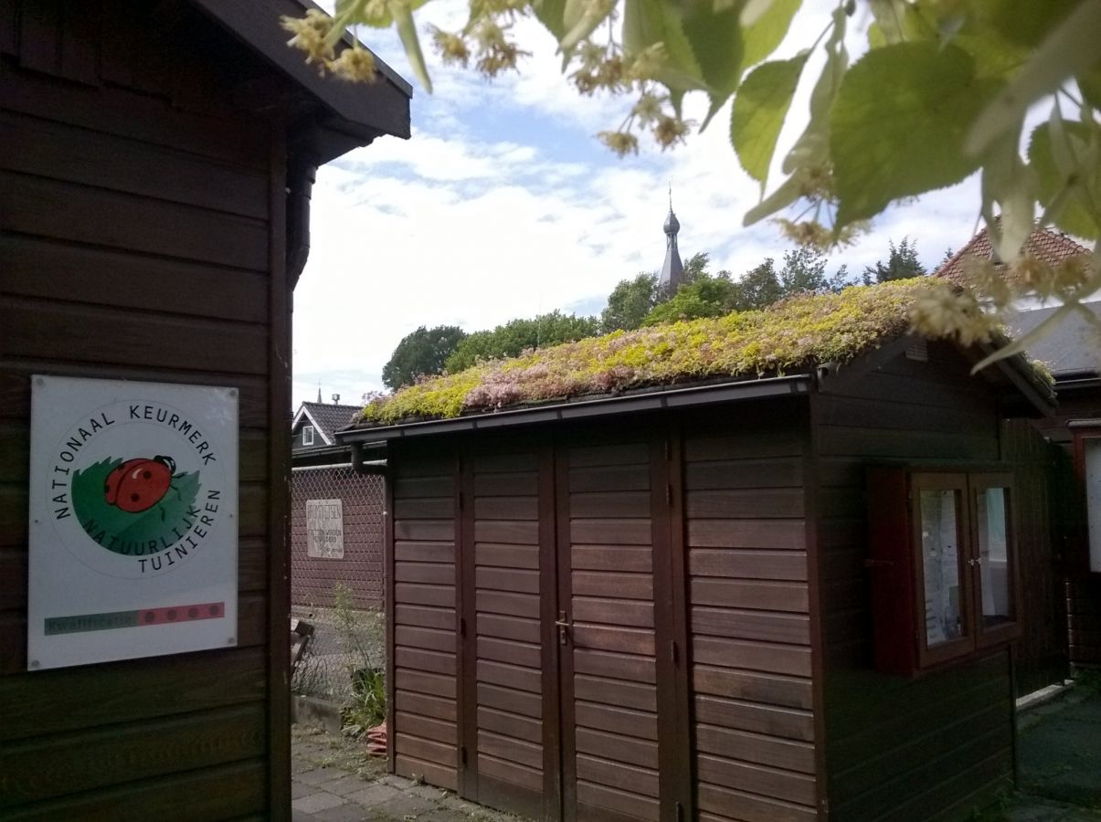 Entree met groen Rolstoelhuis